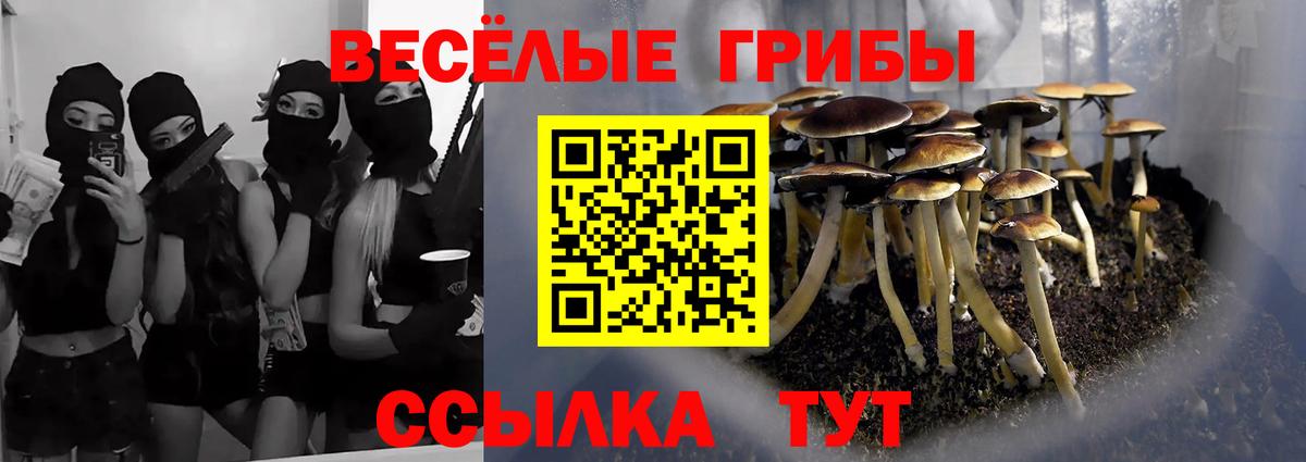 Галлюциногенные грибы Psilocybine cubensis Можга
